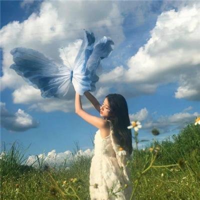 招惹玫瑰