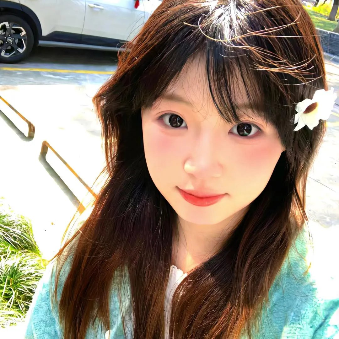 风临樱花开