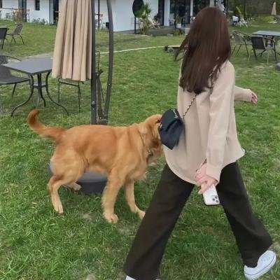爱的狂热